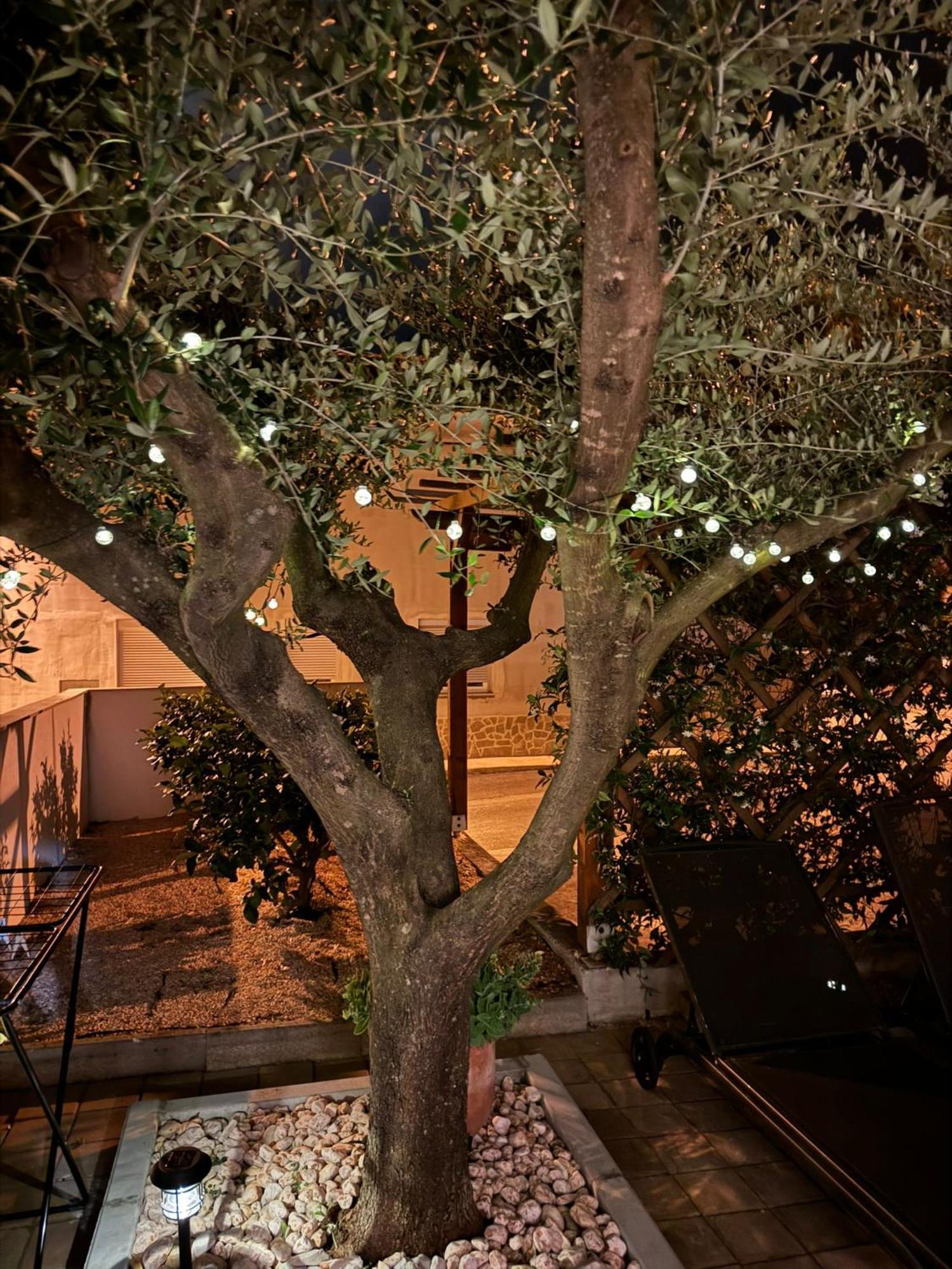 Apartments Noa أوماغ المظهر الخارجي الصورة
