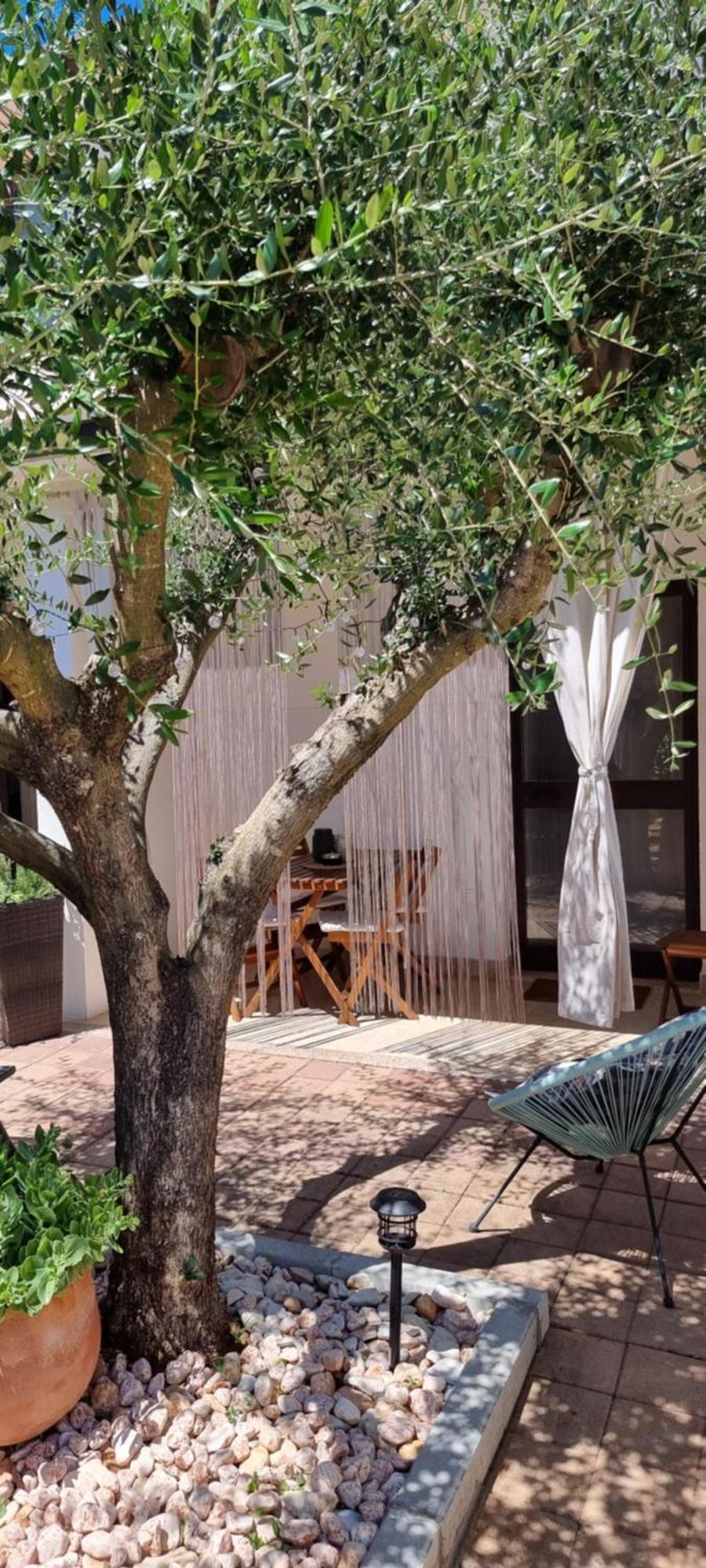 Apartments Noa أوماغ المظهر الخارجي الصورة